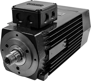 Image of Perske KNS61-13-2DS motor, front view