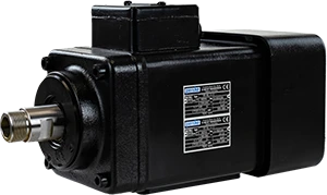Image of Perske VS60-11 motor